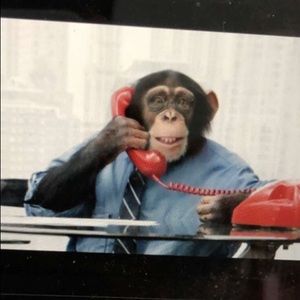 Meet your Posher, Ashton